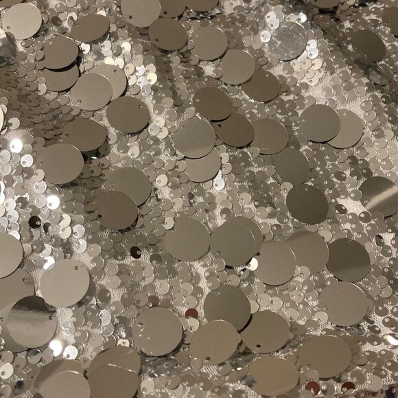 Sparky Silver Sequin Mini Skirt - Picture 6 of 6